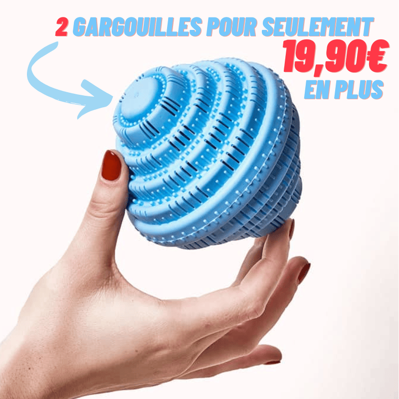 2 gargouilles supplémentaires pour 19,90€